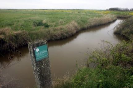 Vue de Moëze (Marennes-Seudre)