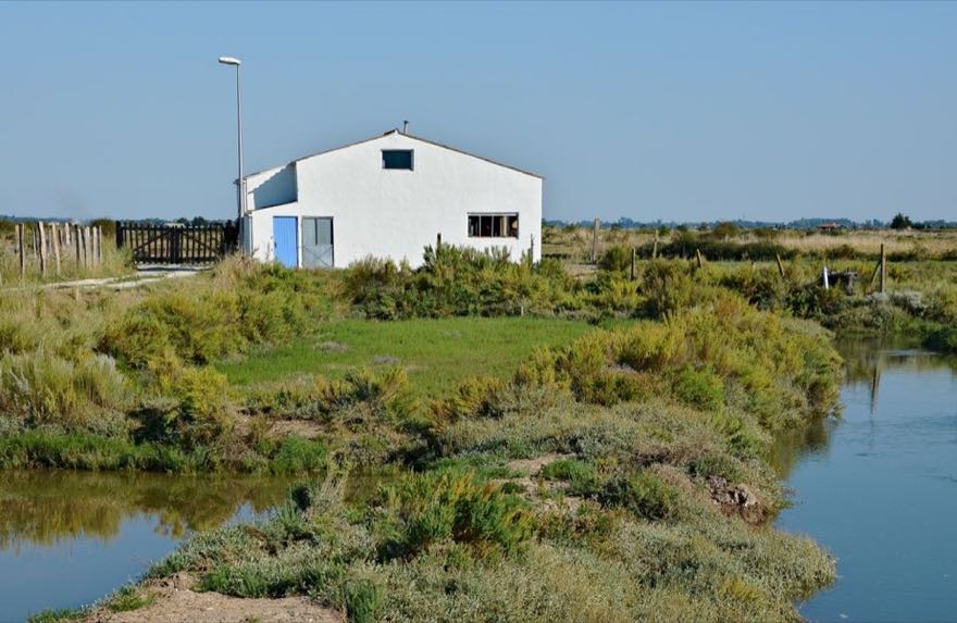 Mornac-sur-Seudre