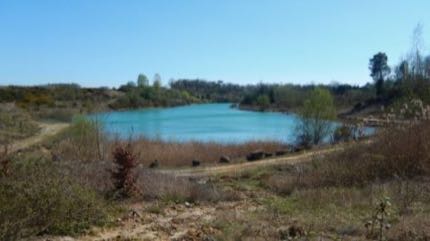 Vue de Les Nouillers (Plaine d’Aunis)