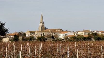 Paysage du secteur Île de Ré