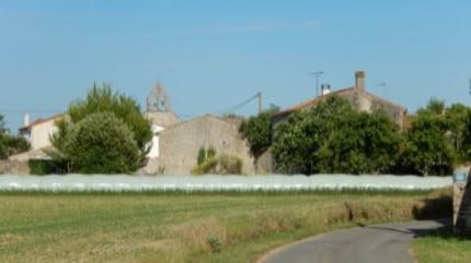 Vue de Vergné (Plaine d’Aunis)