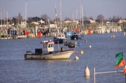 Vue de L'Aiguillon-la-Presqu'île (Agglo de La Rochelle)